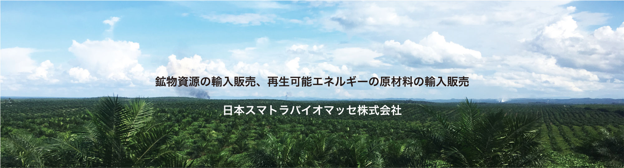 鉱物資源の輸入販売、再生可能エネルギー原材料輸入販売